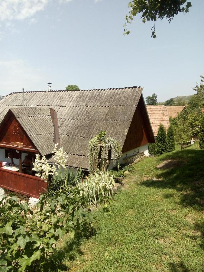 Meselak Villa Ocna de Sus Exterior photo