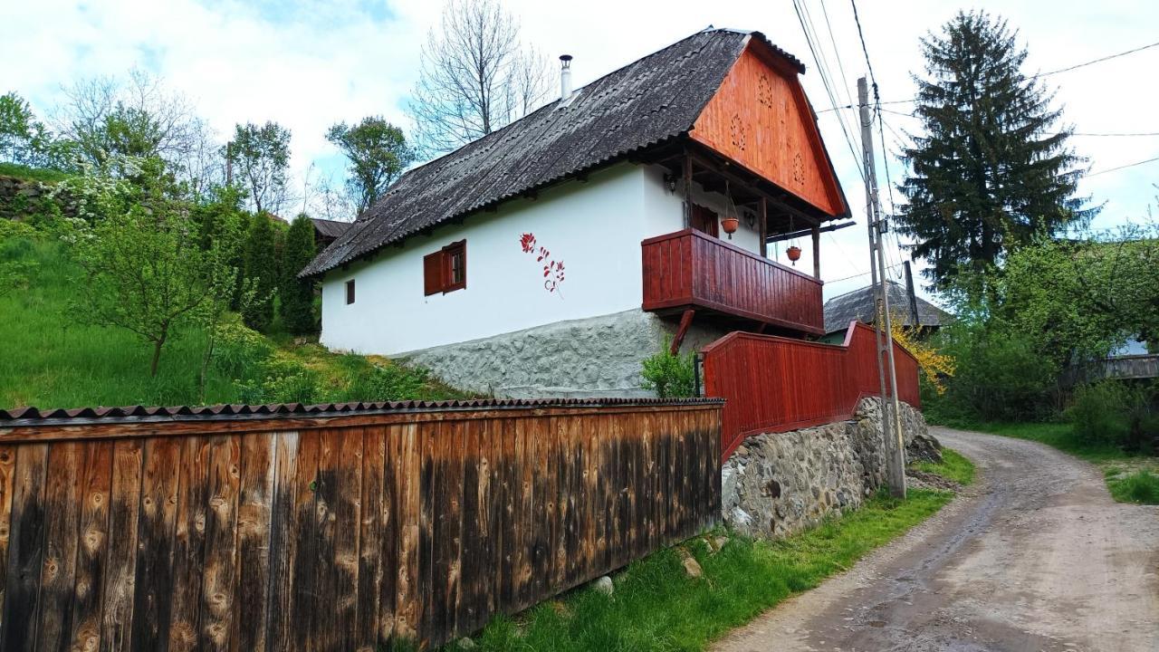 Meselak Villa Ocna de Sus Exterior photo